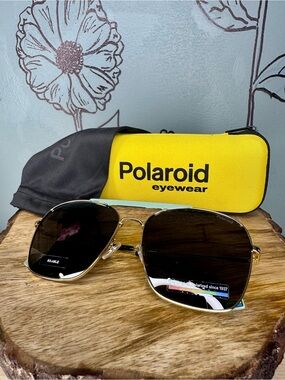 Polaroid Men’s Aviator Sunglasses in Gold Frame with Black Lenses